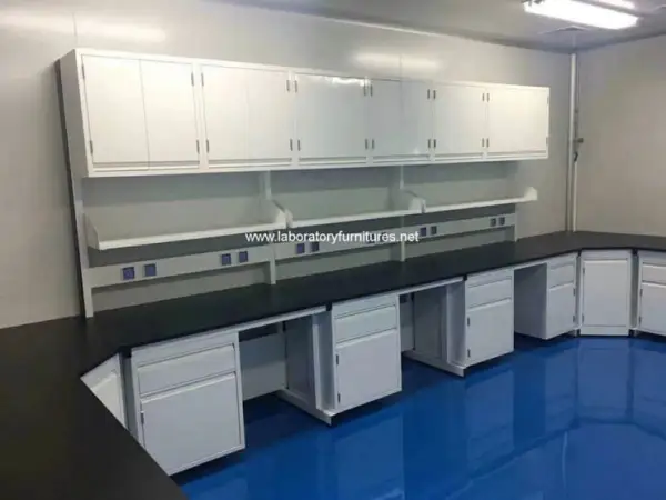 Wall-Mounted Lab Cabinet
